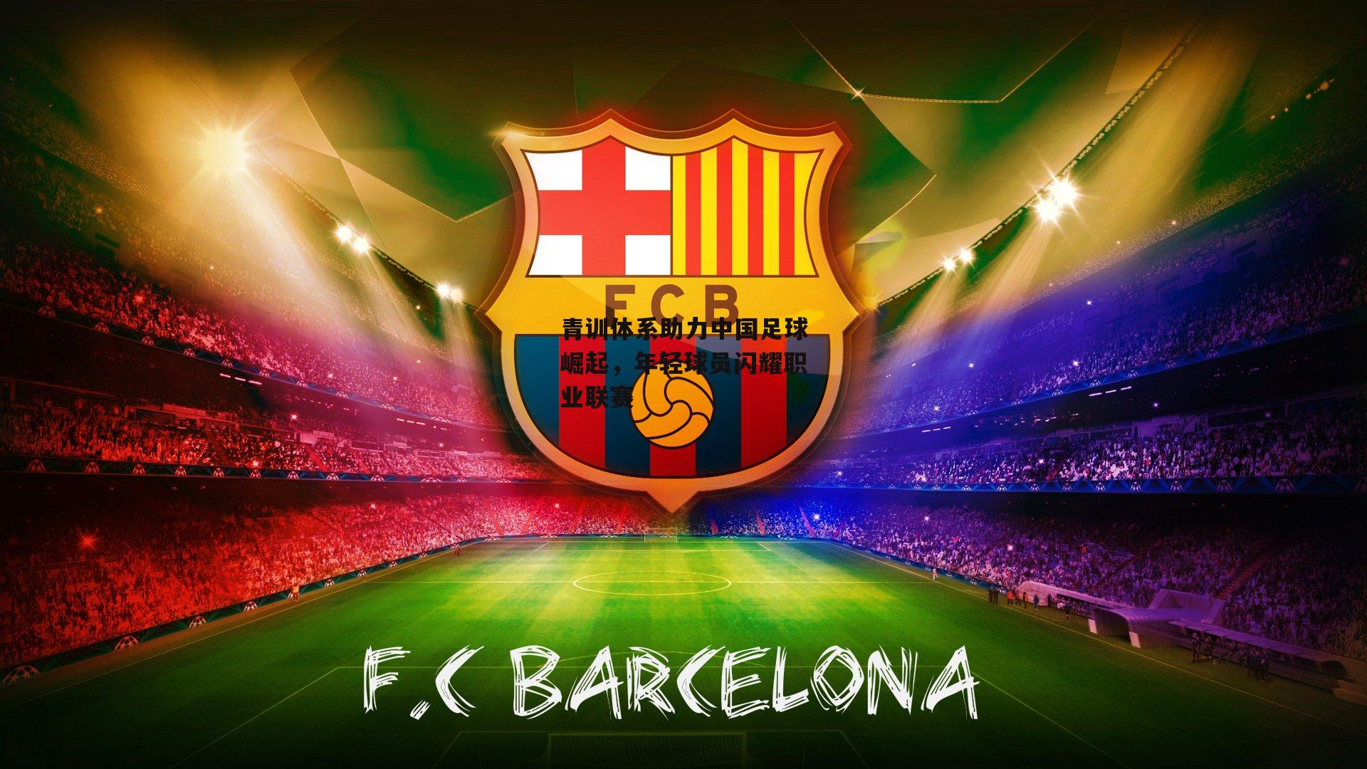 青训体系助力中国足球崛起，年轻球员闪耀职业联赛