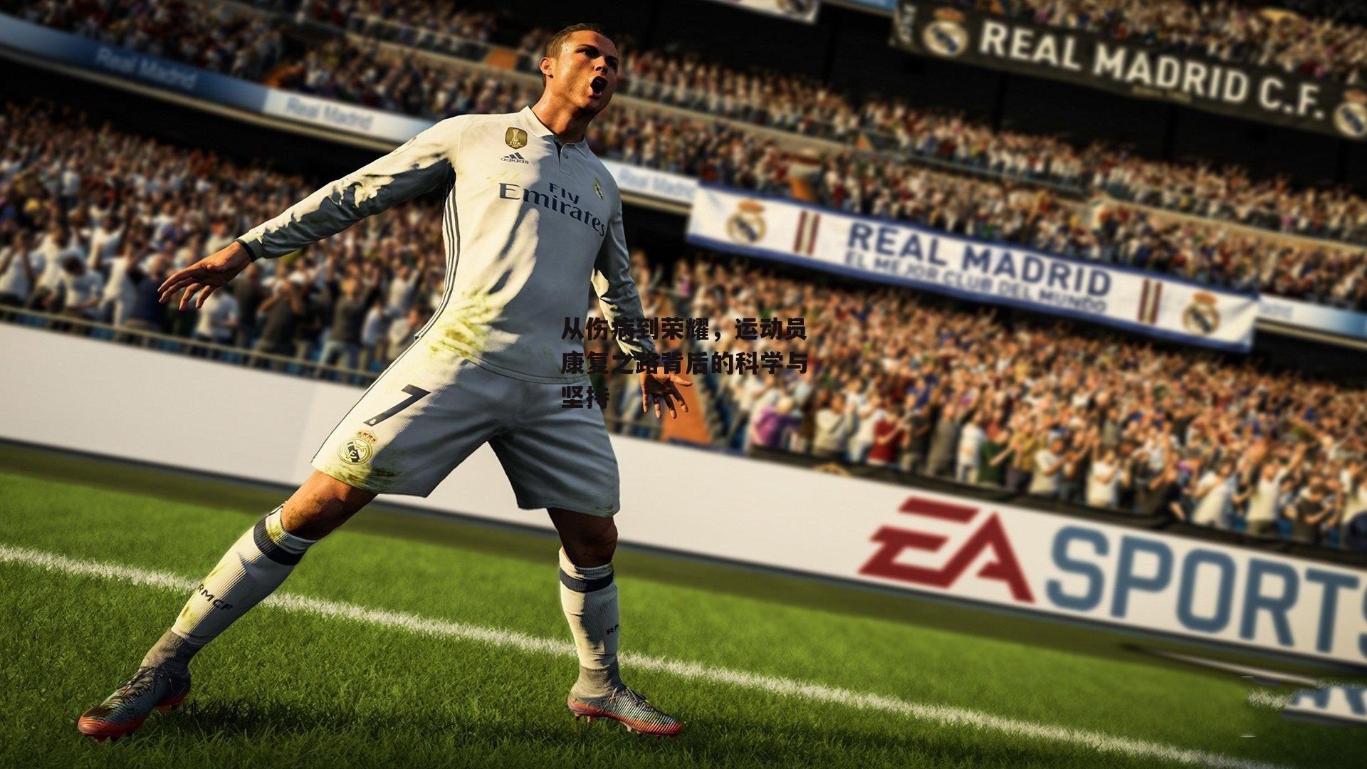 从伤病到荣耀，运动员康复之路背后的科学与坚持