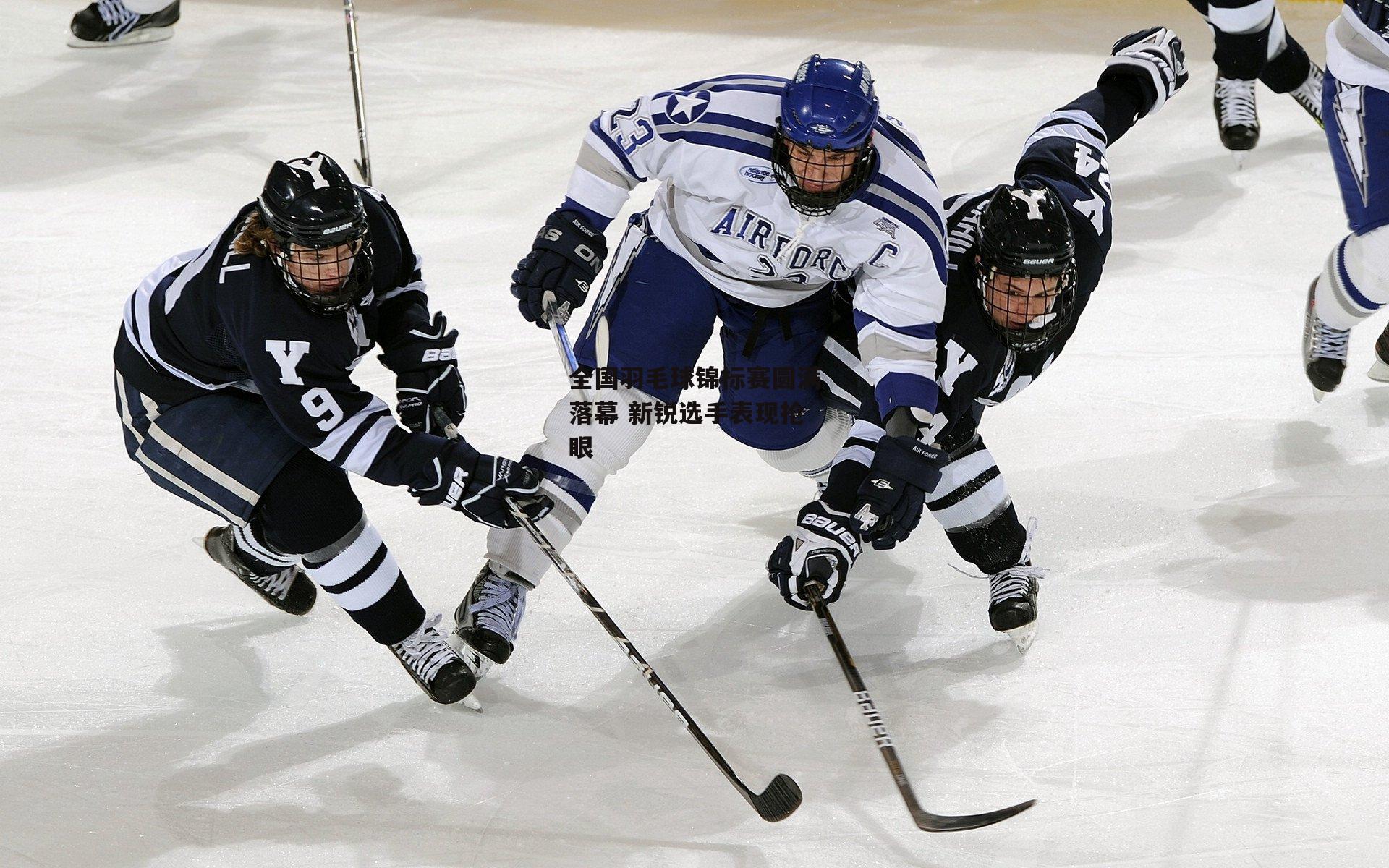 全国羽毛球锦标赛圆满落幕 新锐选手表现抢眼